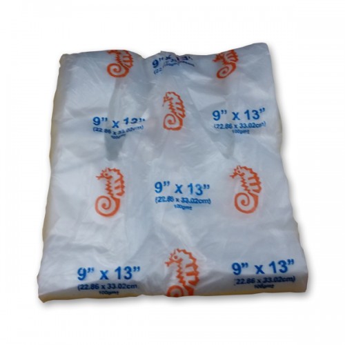 Plastic SB Bag 9" x 13"