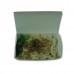 Gotake (FDA) Paper Lunch Box-001 (730ml)